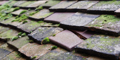 Bidwell roof repair costs